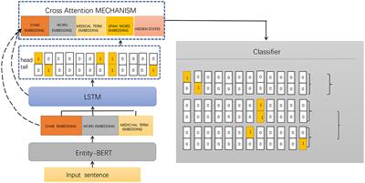 Application of Entity-BERT model based on neuroscience and brain-like cognition in electronic medical record entity recognition